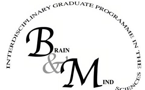 brain_mind-1-480x304