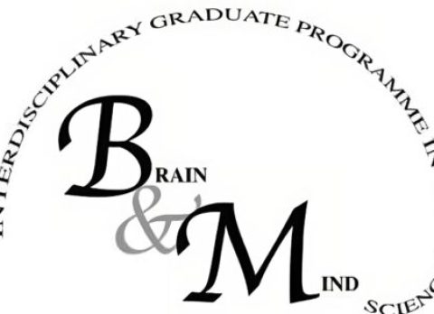 brain_mind-1-480x304