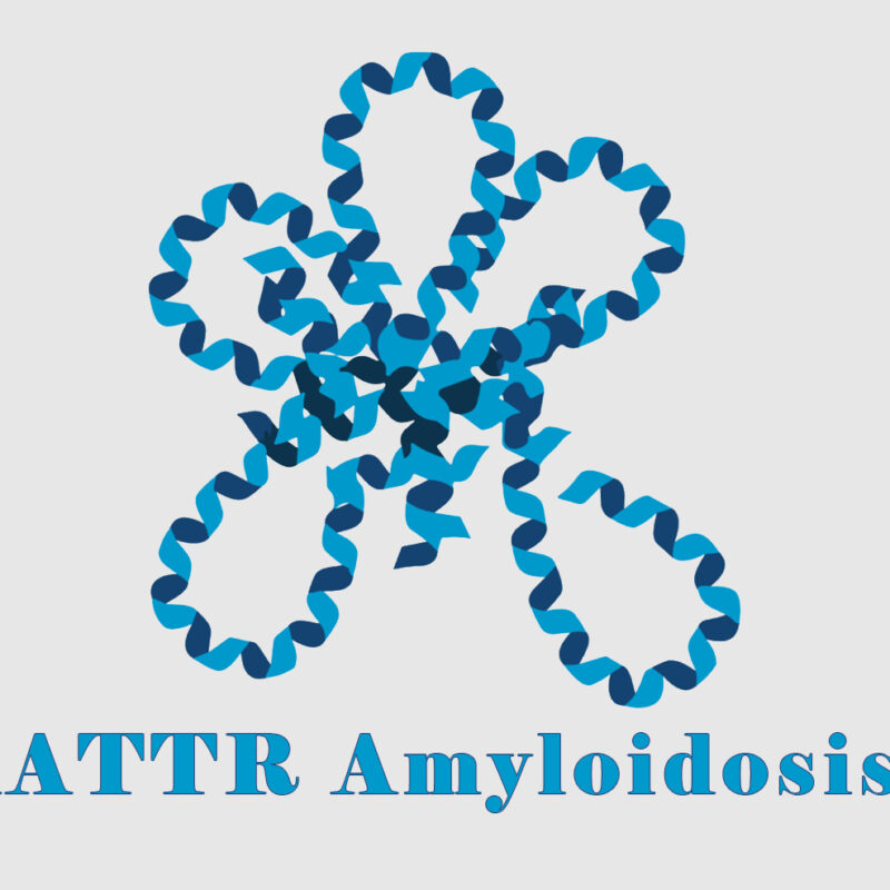 hATTR Amyloidosis: from bench to bedside
