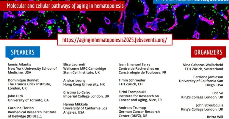Workshop: «Molecular and Cellular Pathways of Aging in Hematopoiesis - FEBS 2025»