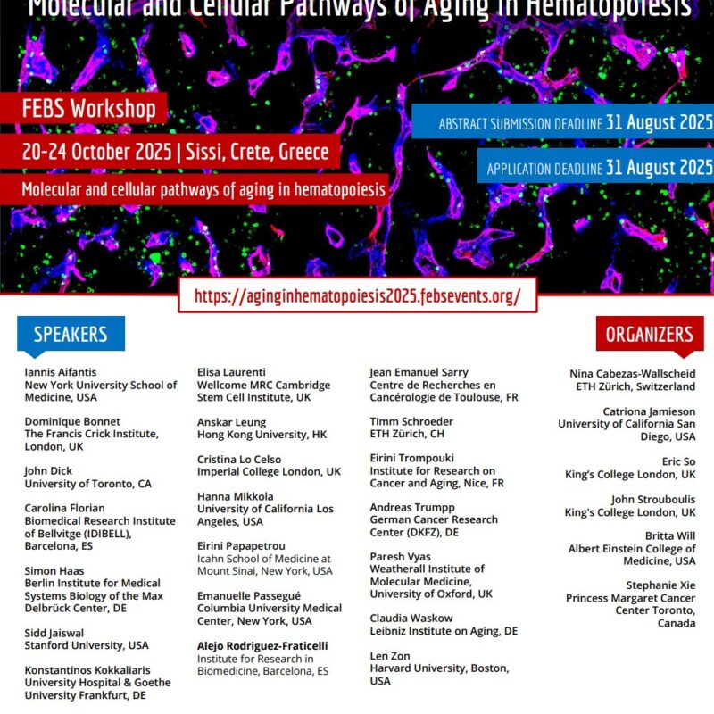 Workshop: «Molecular and Cellular Pathways of Aging in Hematopoiesis - FEBS 2025»