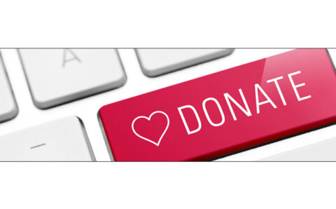 2025-10-27-dorea-organon