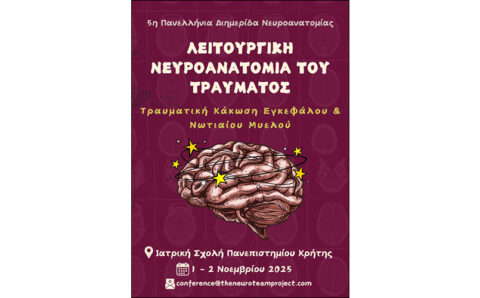 2025-11-07-neyroanatomia-01