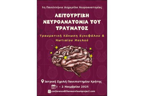 2025-11-07-neyroanatomia-01