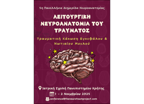 2025-11-07-neyroanatomia-01