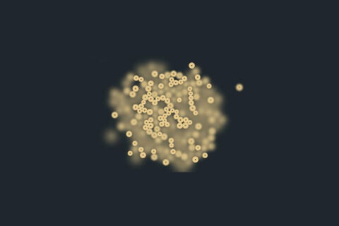 2026-02-19-lighting-the-fame