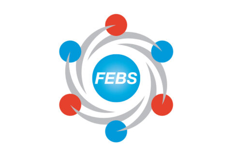 logo-febs