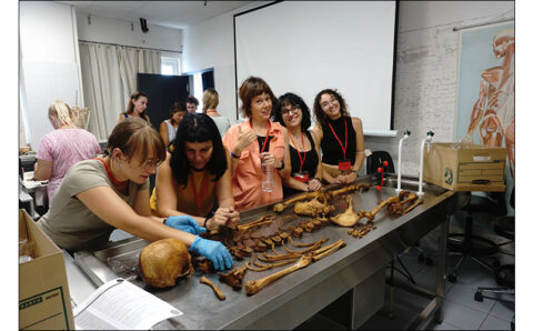 metaptyxiaka-pms-iatrodikastiki_small