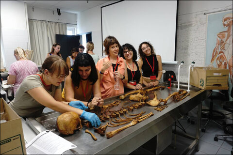 metaptyxiaka-pms-iatrodikastiki_small