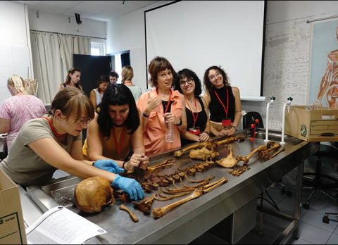 metaptyxiaka-pms-iatrodikastiki_small