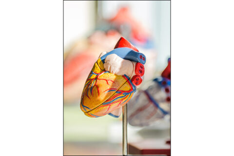 metaptyxiaka-pms-cardio-small