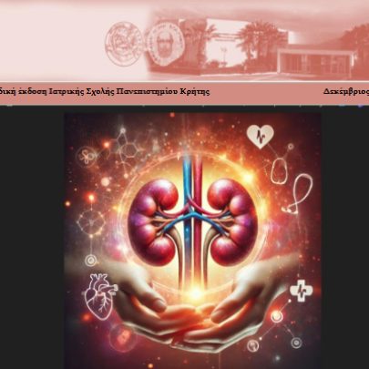 newsletter-teyxos-13-2024-12